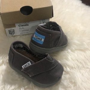 Tiny Toms Ash Grey | 2T |